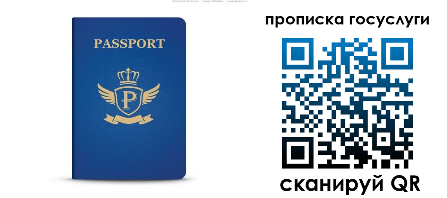 прописка для школы в Нелидово